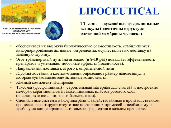 LIPOCEUTICAL обеспечивает их высокую биологическую совместимость, стабилизирует инкорпорированные активные ингредиенты,