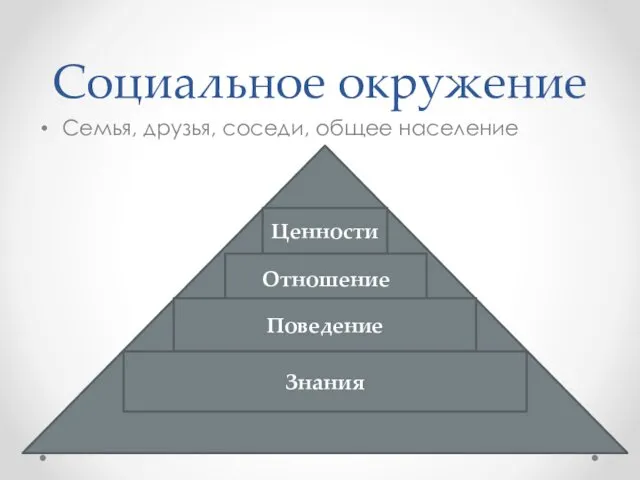 Социальное окружение Семья, друзья, соседи, общее население Ценности Отношение Поведение Знания