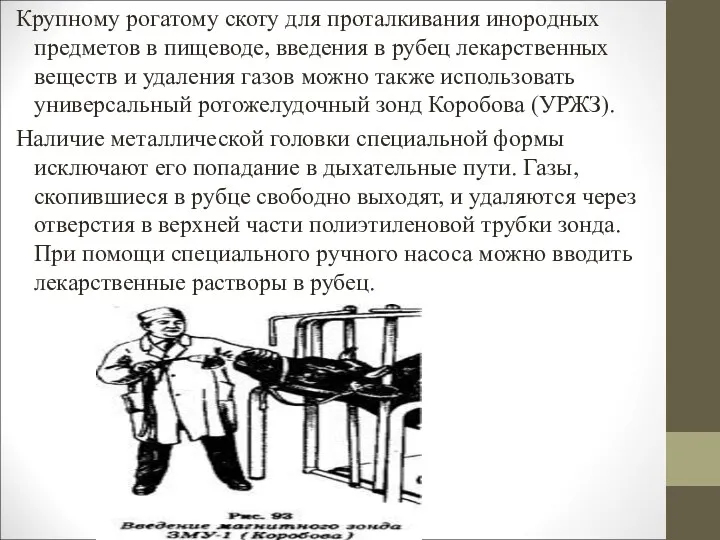 Крупному рогатому скоту для проталкивания инородных предметов в пищеводе, введения