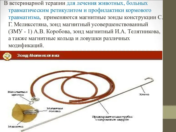 В ветеринарной терапии для лечения животных, больных травматическим ретикулитом и