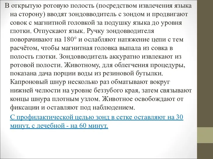 В открытую ротовую полость (посредством извлечения языка на сторону) вводят