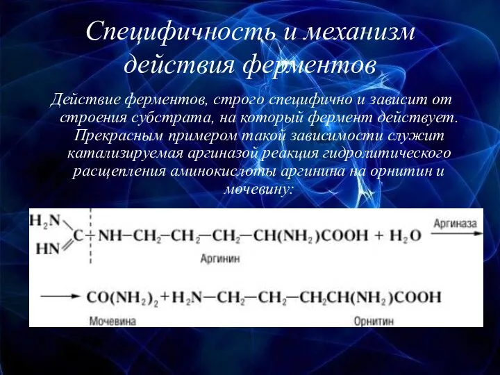 Специфичность и механизм действия ферментов Действие ферментов, строго специфично и