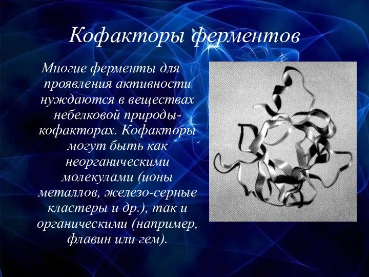 Кофакторы ферментов Многие ферменты для проявления активности нуждаются в веществах