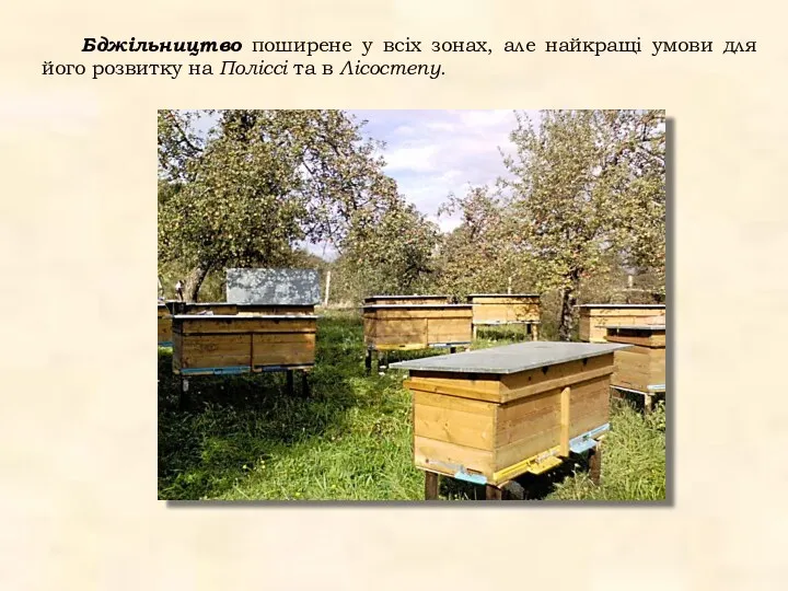 Бджільництво поширене у всіх зонах, але найкращі умови для його розвитку на Поліссі та в Лісостепу.
