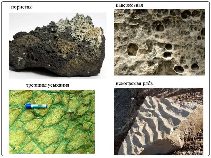 пористая кавернозная ископаемая рябь трещины усыхания