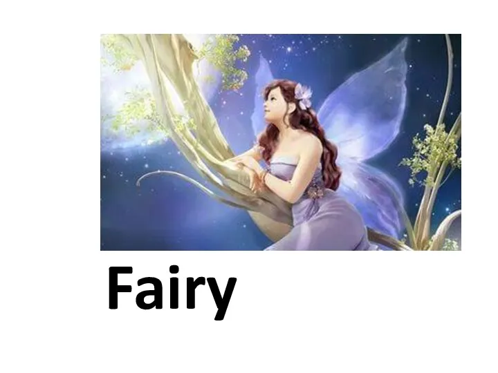 Fairy