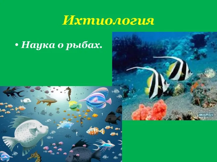 Ихтиология Наука о рыбах.