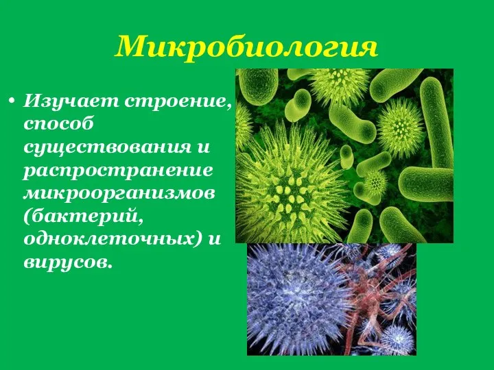 Микробиология Изучает строение, способ существования и распространение микроорганизмов (бактерий, одноклеточных) и вирусов.