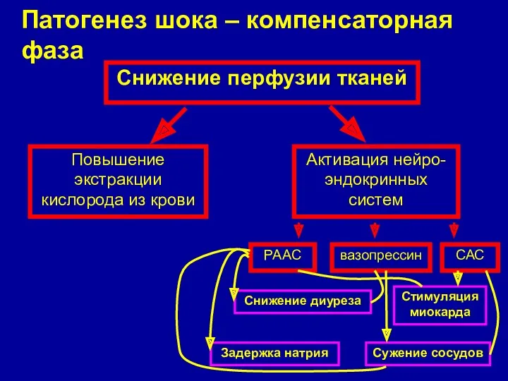 Патогенез шока – компенсаторная фаза Снижение перфузии тканей Повышение экстракции