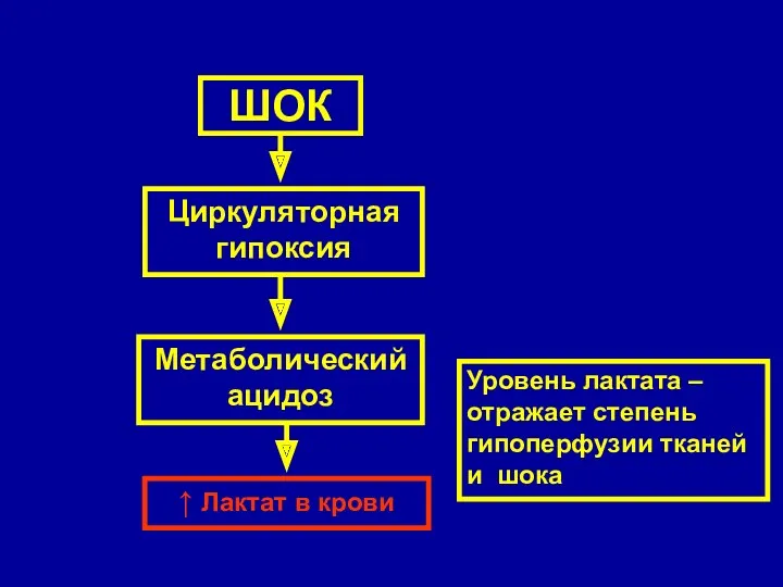 ШОК Циркуляторная гипоксия Метаболический ацидоз ↑ Лактат в крови Уровень