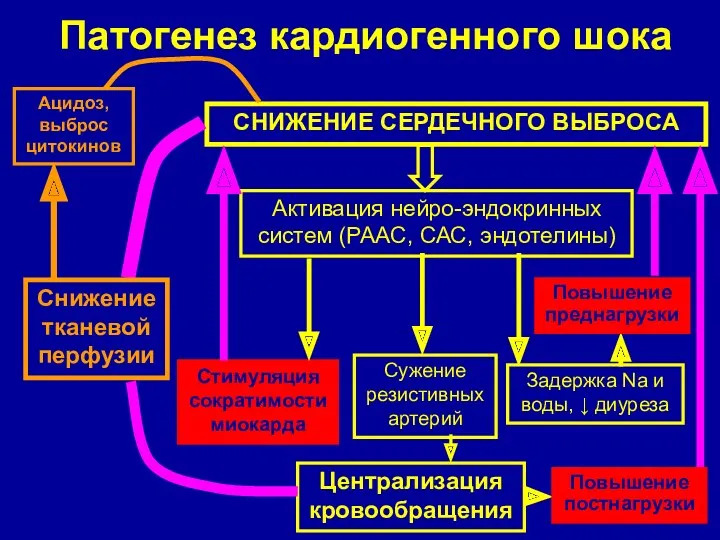 Патогенез кардиогенного шока СНИЖЕНИЕ СЕРДЕЧНОГО ВЫБРОСА Активация нейро-эндокринных систем (РААС,