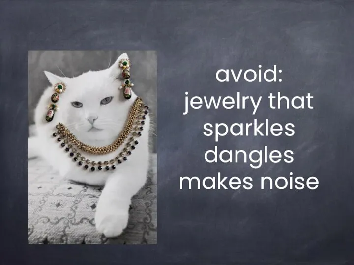 avoid: jewelry that sparkles dangles makes noise