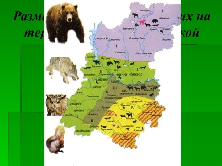 Размещение млекопитающих на территории Нижегородской области