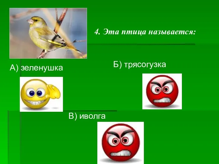 4. Эта птица называется: В) иволга Б) трясогузка А) зеленушка