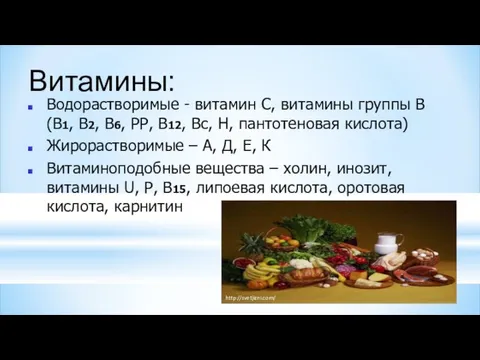 Витамины: Водорастворимые - витамин С, витамины группы В (В1, В2, В6, РР, В12,