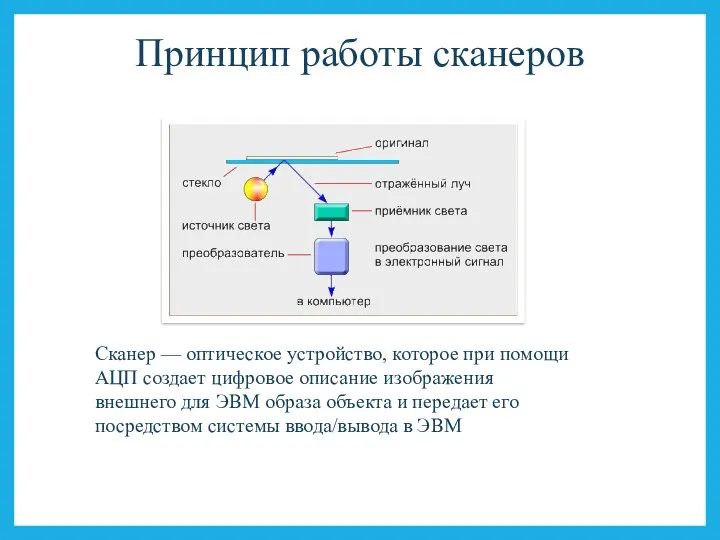 Принцип работы сканеров Сканер — оптическое устройство, которое при помощи