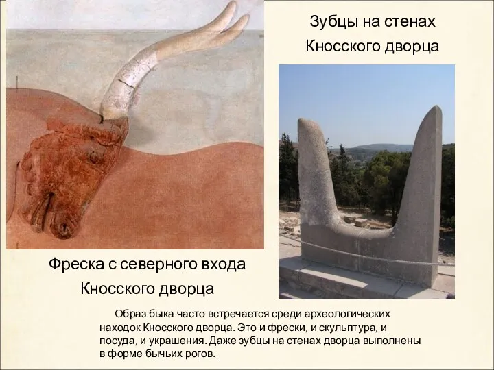 Образ быка часто встречается среди археологических находок Кносского дворца. Это и фрески, и