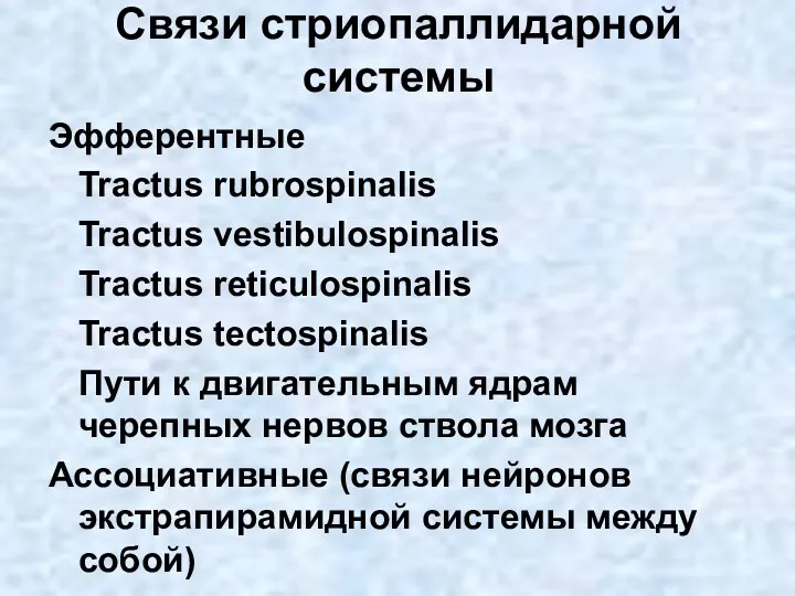 Связи стриопаллидарной системы Эфферентные Tractus rubrospinalis Tractus vestibulospinalis Tractus reticulospinalis
