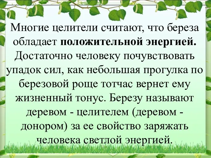 Многие целители считают, что береза обладает положительной энергией. Достаточно человеку