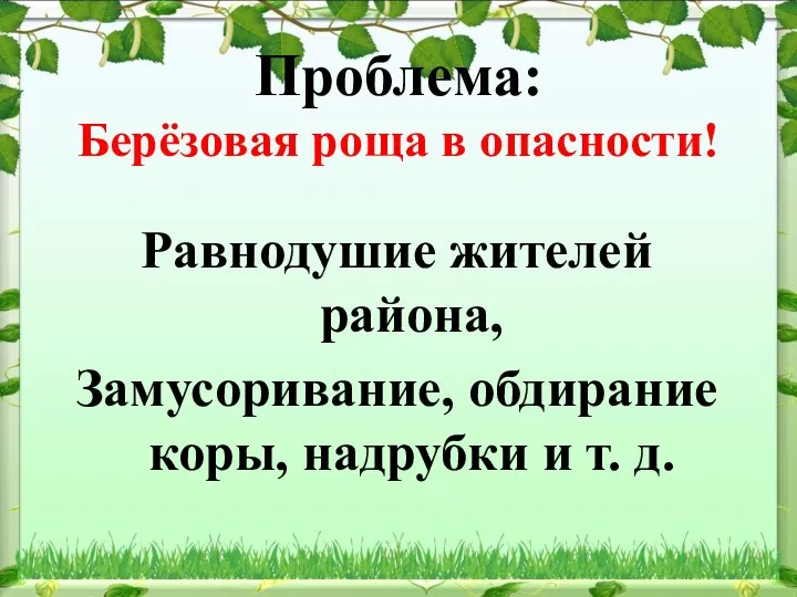 Проблема: Берёзовая роща в опасности! Равнодушие жителей района, Замусоривание, обдирание коры, надрубки и т. д.