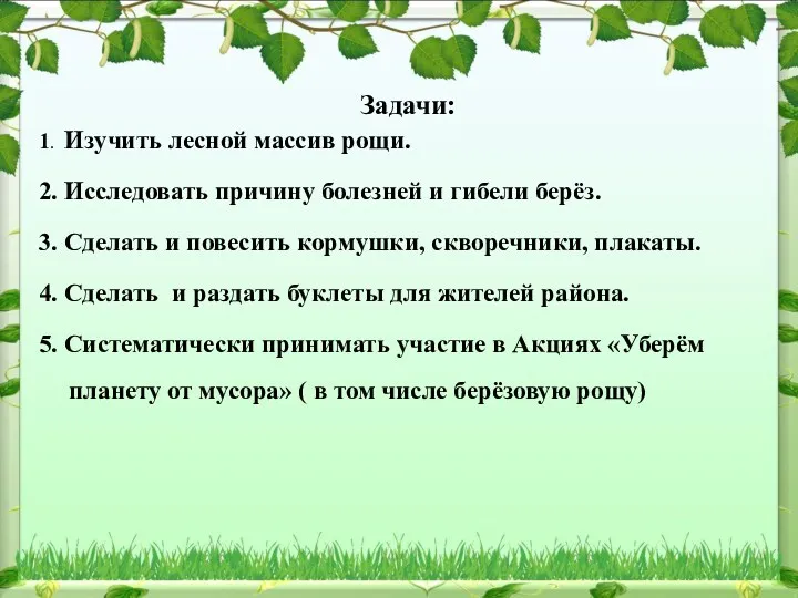 Задачи: 1. Изучить лесной массив рощи. 2. Исследовать причину болезней