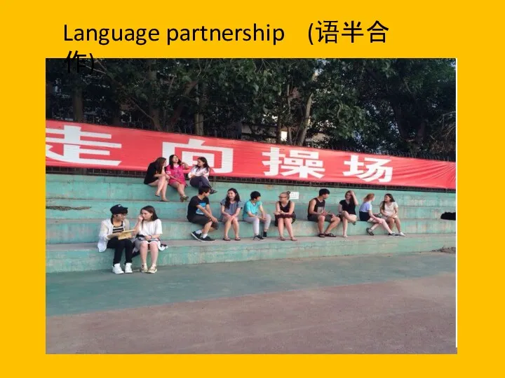 Language partnership (语半合作)