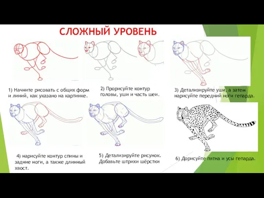 СЛОЖНЫЙ УРОВЕНЬ 1) Начните рисовать с общих форм и линий,