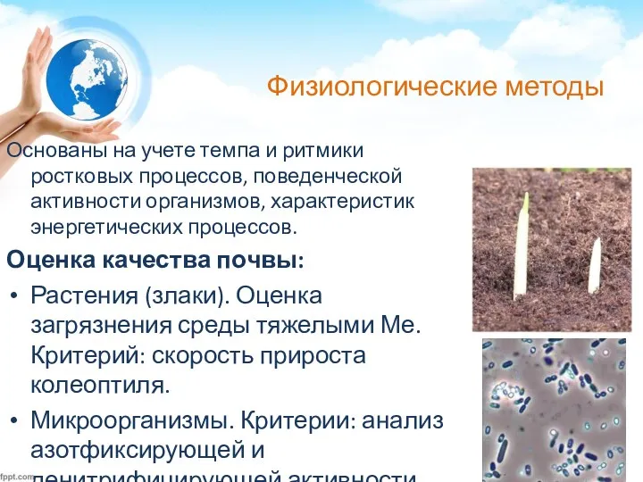 Физиологические методы Основаны на учете темпа и ритмики ростковых процессов,