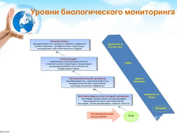 Уровни биологического мониторинга