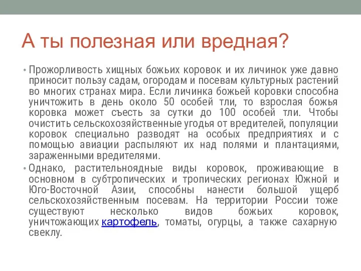 А ты полезная или вредная? Прожорливость хищных божьих коровок и