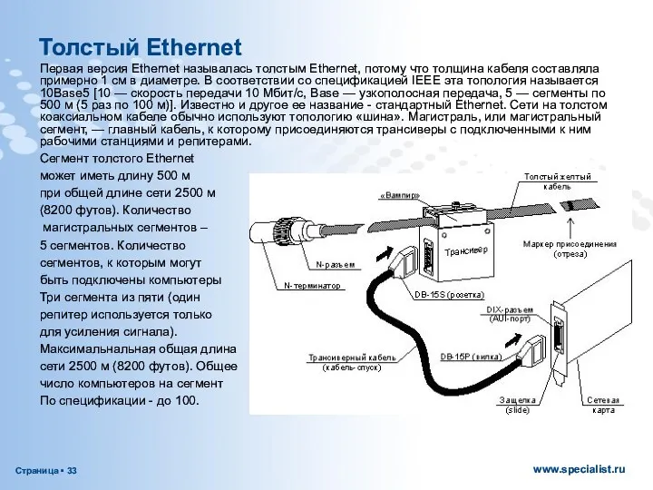 Первая версия Ethernet называлась толстым Ethernet, потому что толщина кабеля