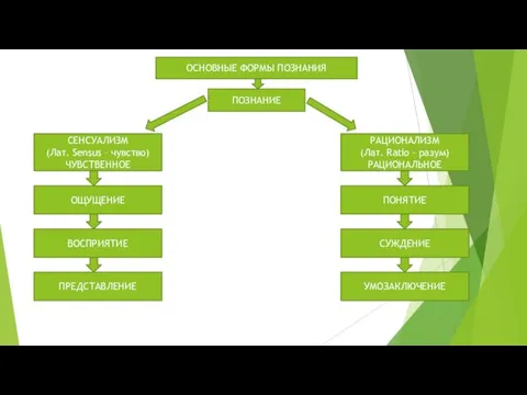 ОСНОВНЫЕ ФОРМЫ ПОЗНАНИЯ ПОЗНАНИЕ СЕНСУАЛИЗМ (Лат. Sensus – чувство) ЧУВСТВЕННОЕ
