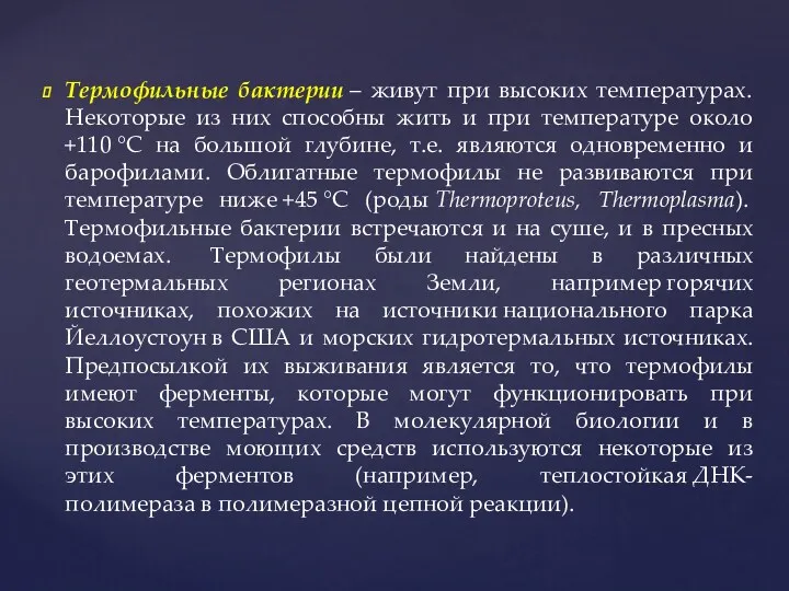 Термофильные бактерии – живут при высоких температурах. Некоторые из них