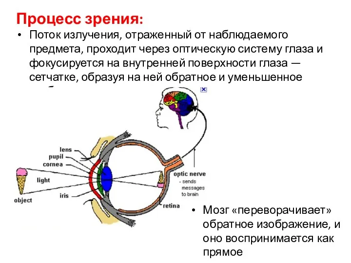 Процесс зрения: Поток излучения, отраженный от наблюдаемого предмета, проходит через оптическую систему глаза