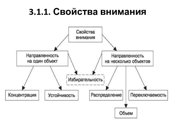 3.1.1. Свойства внимания