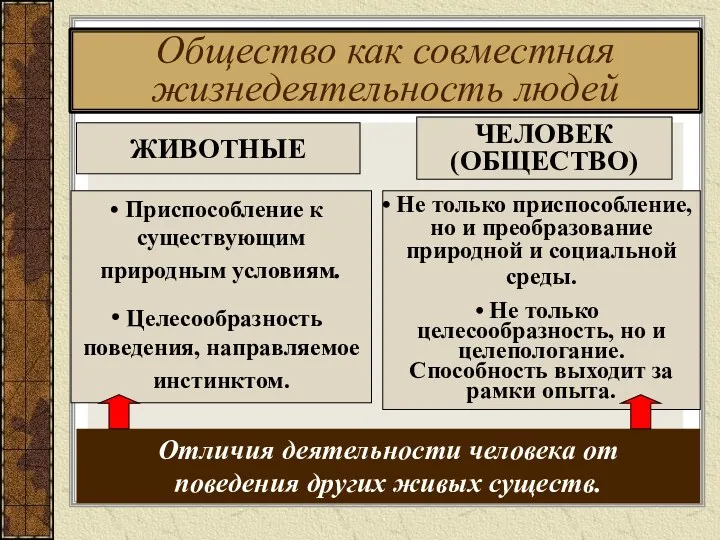 Общество как совместная жизнедеятельность людей ЧЕЛОВЕК (ОБЩЕСТВО) Не только приспособление,