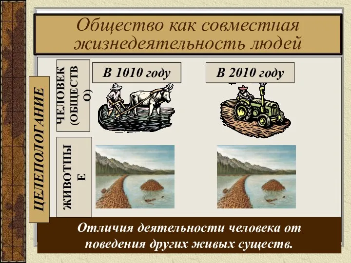 Общество как совместная жизнедеятельность людей ЧЕЛОВЕК (ОБЩЕСТВО) Отличия деятельности человека