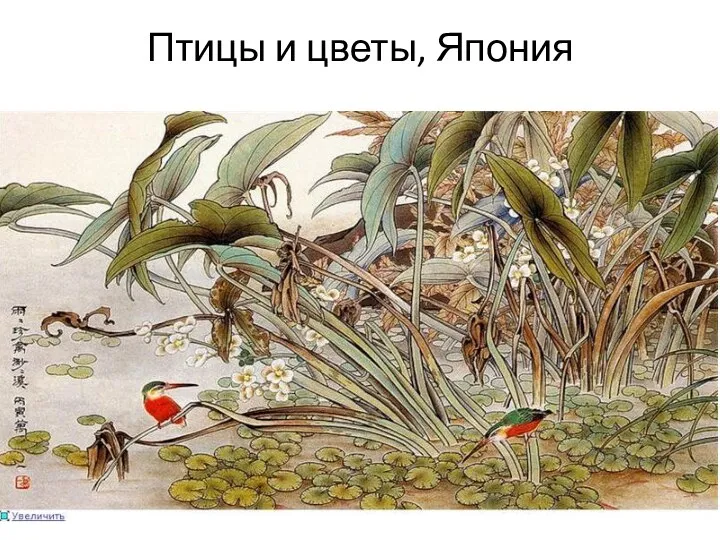 Птицы и цветы, Япония