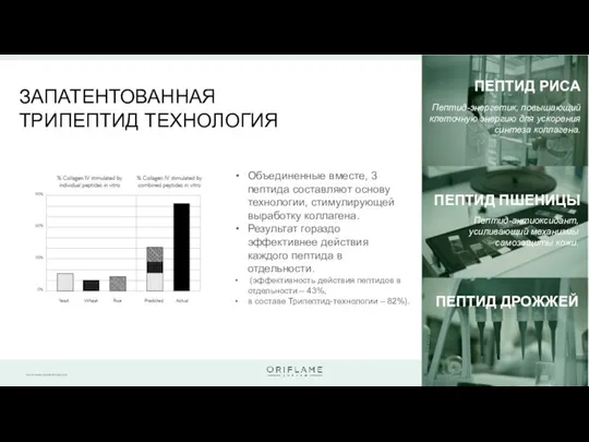 Пептид-энергетик, повышающий клеточную энергию для ускорения синтеза коллагена. Пептид-антиоксидант, усиливающий