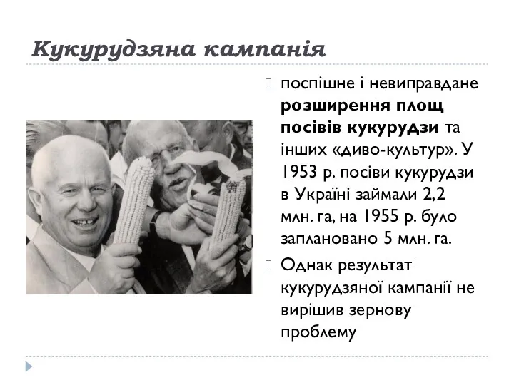 Кукурудзяна кампанія поспішне і невиправдане розширення площ посівів кукурудзи та