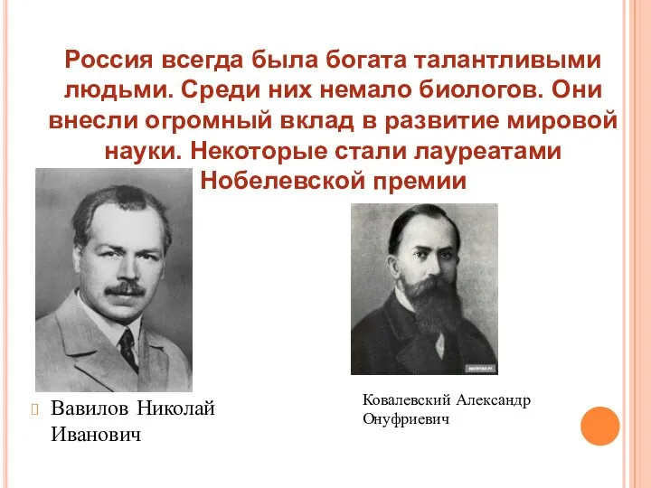 Вавилов Николай Иванович Россия всегда была богата талантливыми людьми. Среди