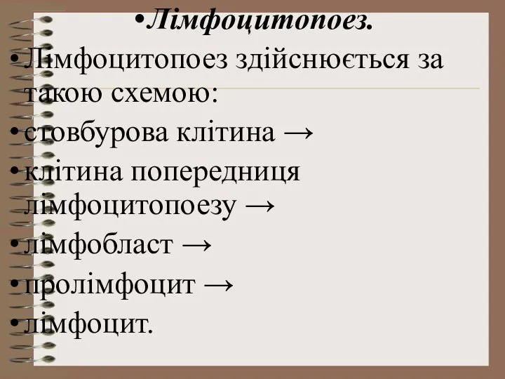 Лімфоцитопоез. Лімфоцитопоез здійснюється за такою схемою: стовбурова клітина → клітина