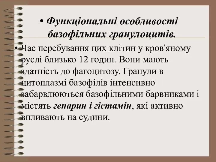 Функціональні особливості базофільних гранулоцитів. Час перебування цих клітин у кров'яному