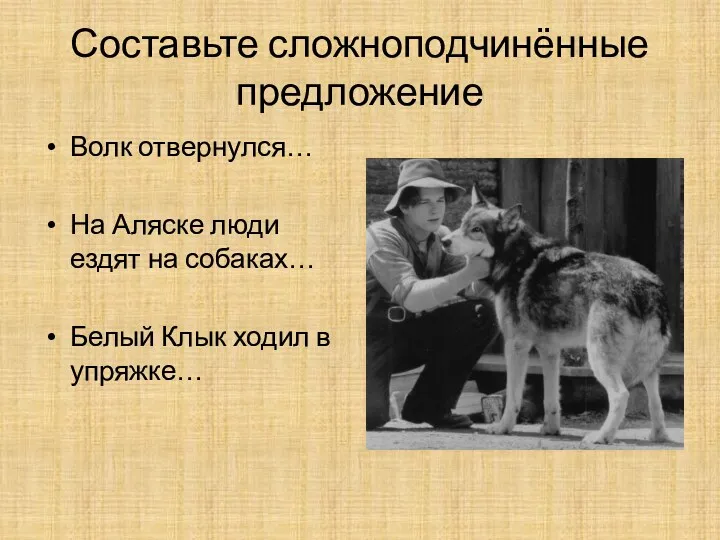 Составьте сложноподчинённые предложение Волк отвернулся… На Аляске люди ездят на собаках… Белый Клык ходил в упряжке…