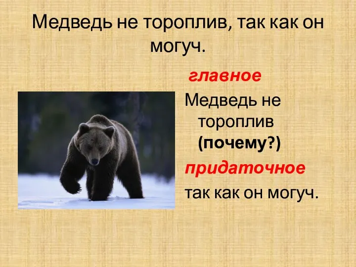 Медведь не тороплив, так как он могуч. главное Медведь не