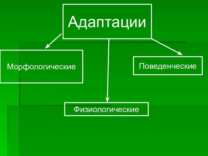 Адаптации Морфологические Поведенческие Физиологические