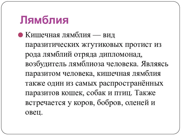 Лямблия Кишечная лямблия — вид паразитических жгутиковых протист из рода