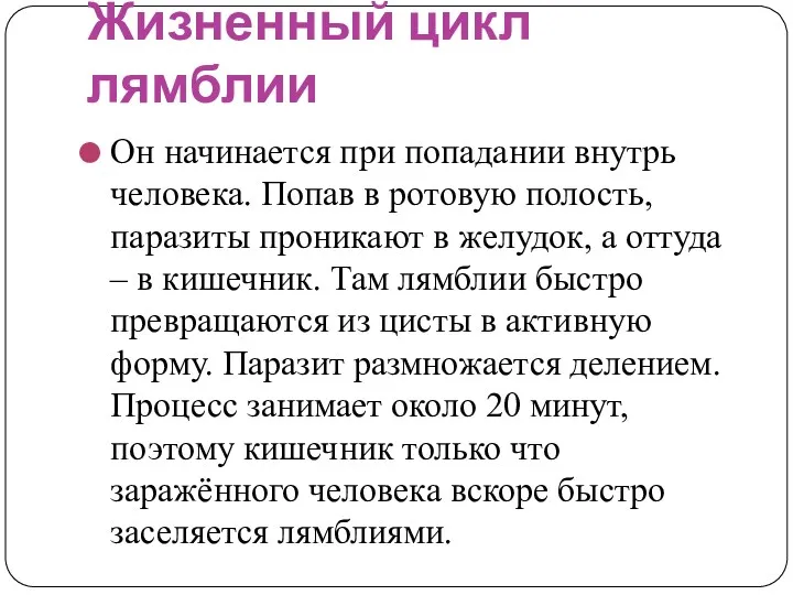 Жизненный цикл лямблии Он начинается при попадании внутрь человека. Попав