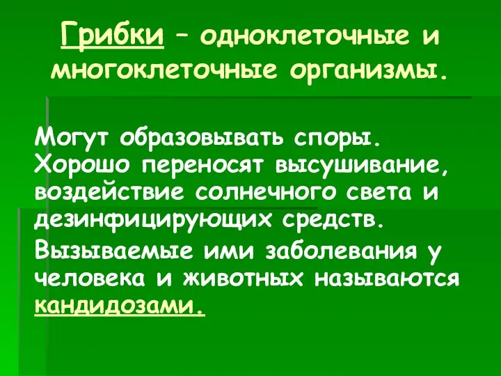 Грибки – одноклеточные и многоклеточные организмы. Могут образовывать споры. Хорошо