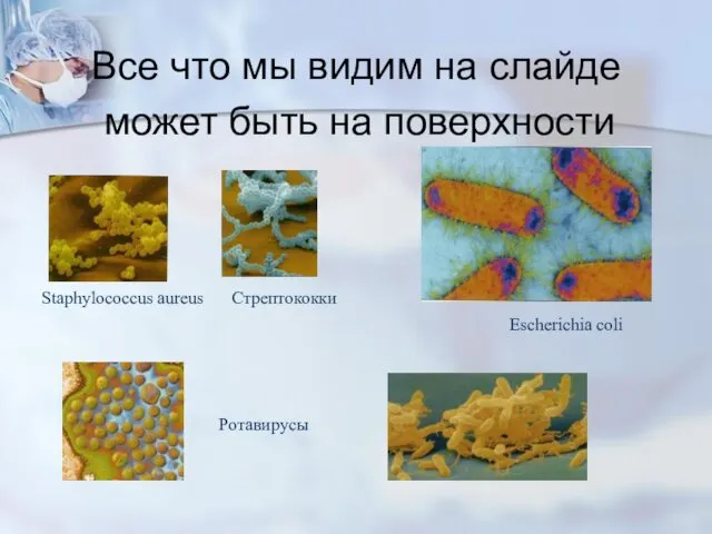 Все что мы видим на слайде может быть на поверхности Staphylococcus aureus Стрептококки Escherichia coli Ротавирусы